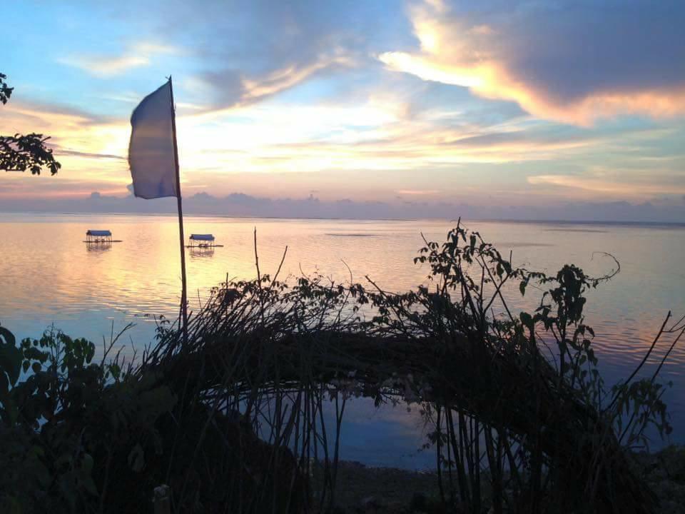 Birdland Beach Club Bolinao Luaran gambar