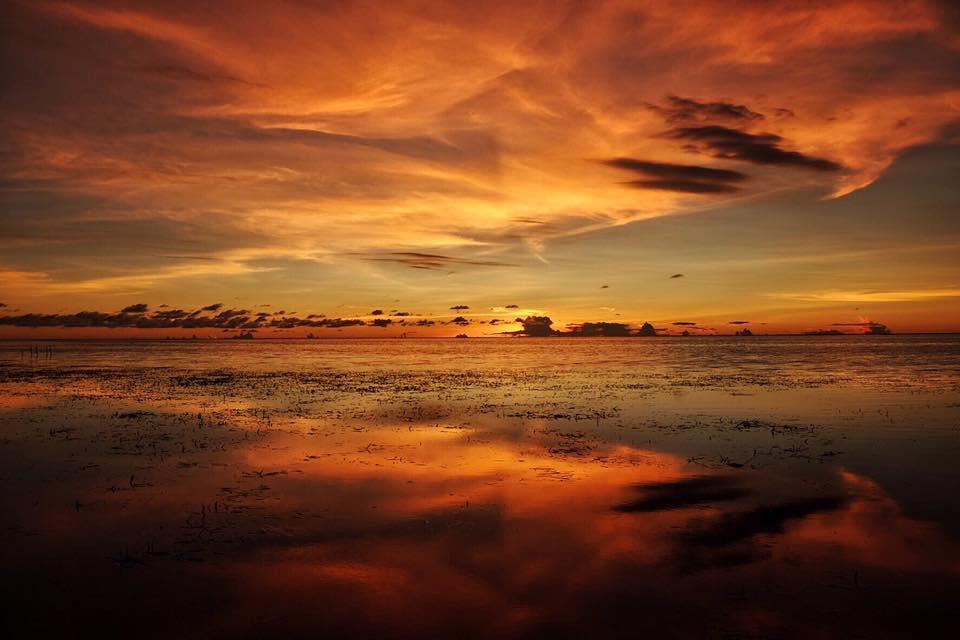 Birdland Beach Club Bolinao Luaran gambar